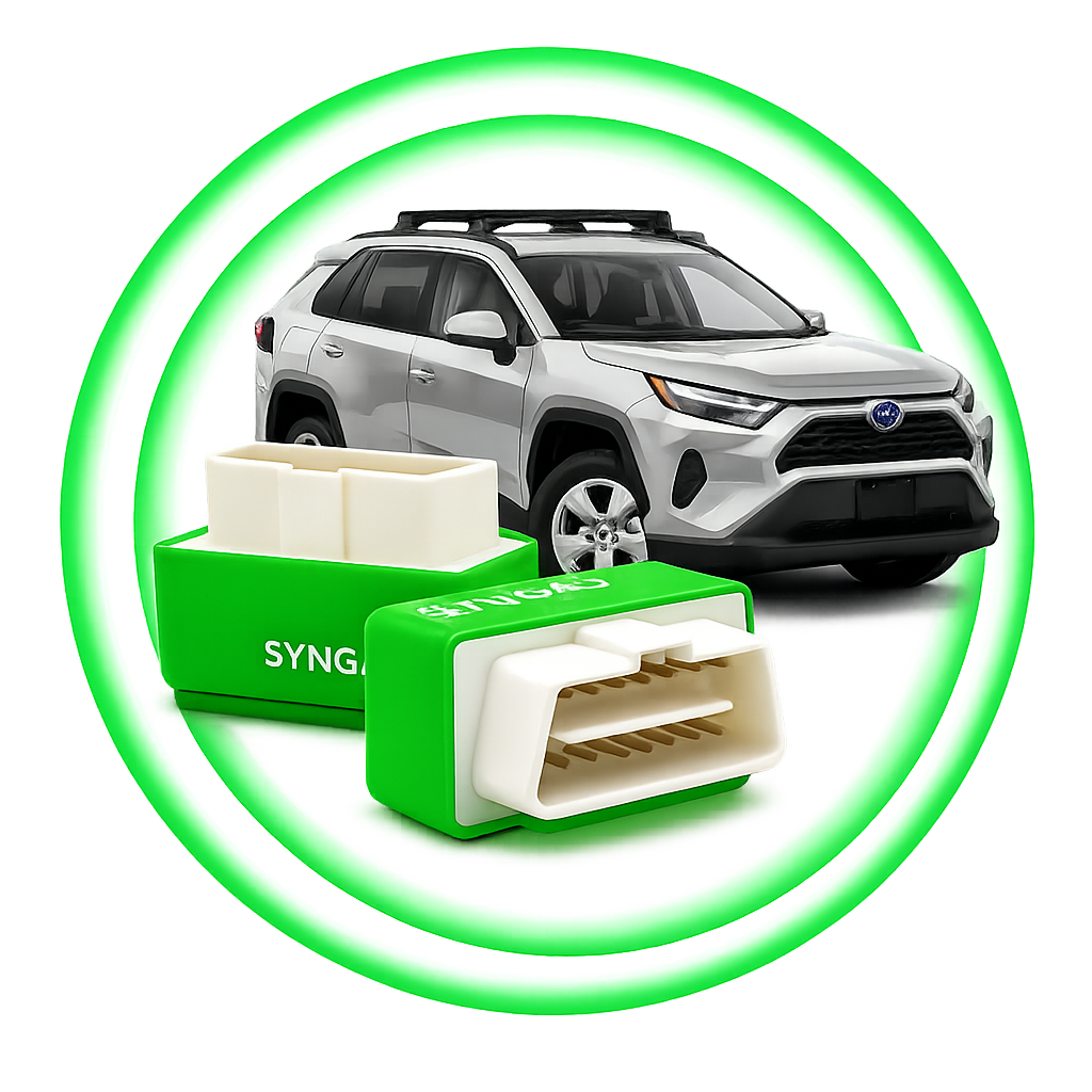 SynGas Eco Chip